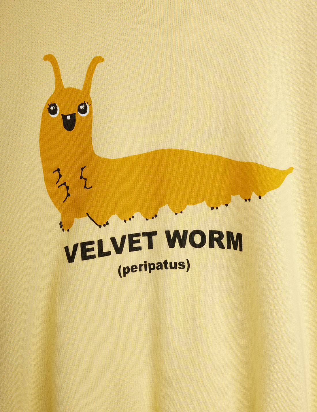 Velvet Worm Sweatshirt | Mini Rodini