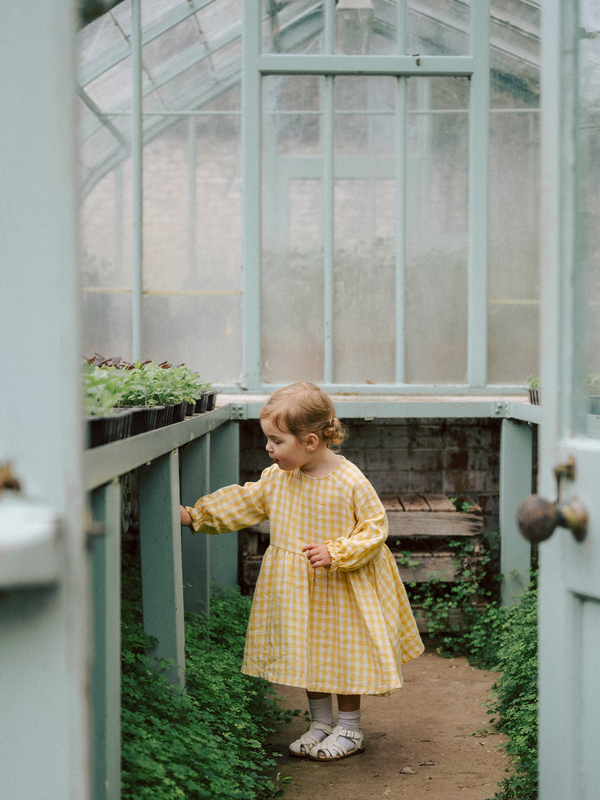 Honeycomb Gingham Field Dress