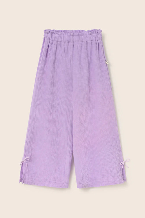 Pants Violet